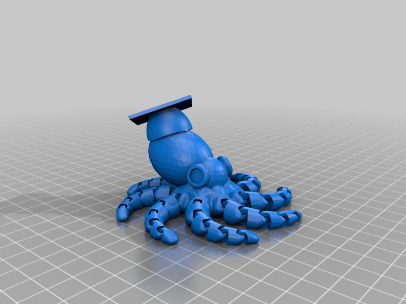 Graduation Octopus
